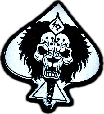 ACE25: LION (HQ) Patch