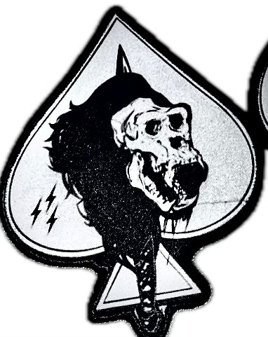 ACE25: APE (PL3) Patch