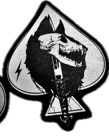 ACE25: WOLF (PL1) Patch