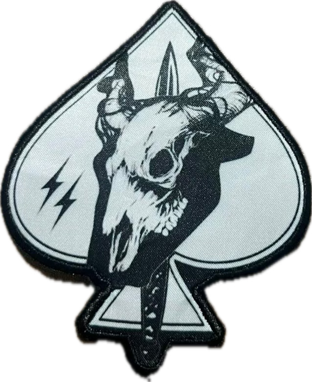 ACE25: BULL (PL2) Patch