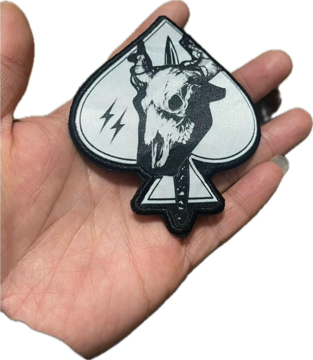 ACE25: BULL (PL2) Patch